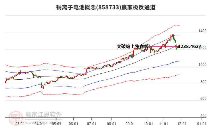 858733鈉離子電池贏家極反通道工具