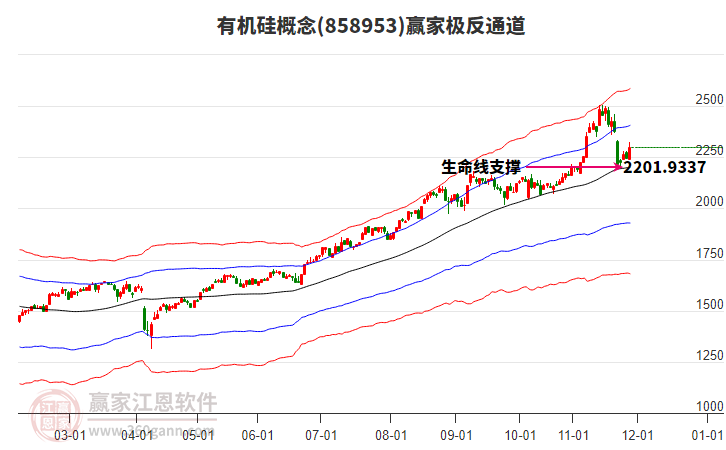 858953有機(jī)硅贏家極反通道工具