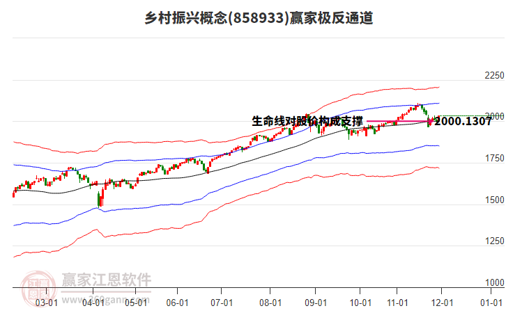 858933鄉(xiāng)村振興贏家極反通道工具