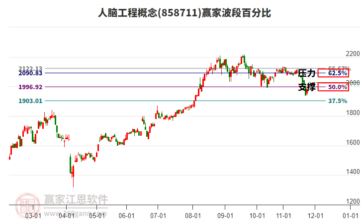 人腦工程概念贏家波段百分比工具