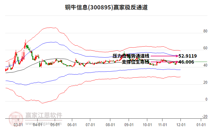 300895銅牛信息贏家極反通道工具 300895銅牛信息贏家極反通道工具