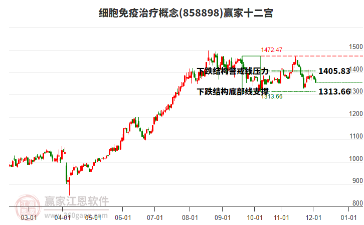 858898細(xì)胞免疫治療贏家十二宮工具