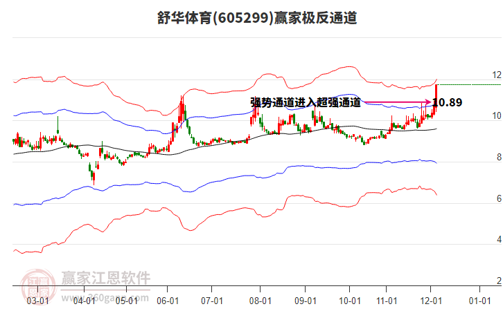 605299舒華體育贏家極反通道工具 605299舒華體育贏家極反通道工具