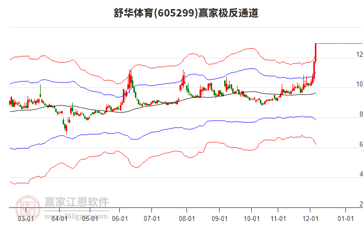 605299舒華體育贏家極反通道工具