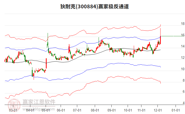 300884狄耐克贏家極反通道工具