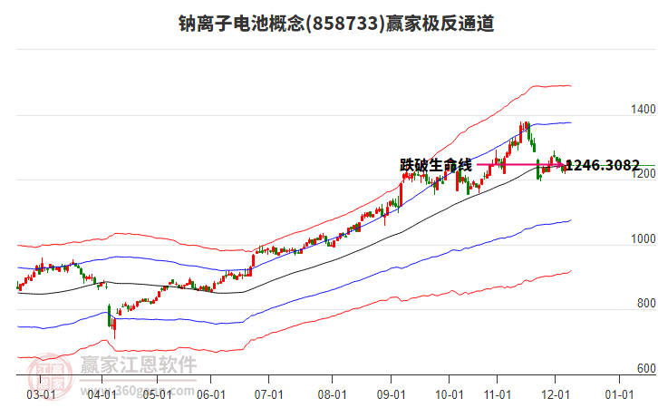858733鈉離子電池贏家極反通道工具 858733鈉離子電池贏家極反通道工具