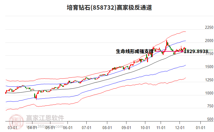 858732培育鉆石贏家極反通道工具