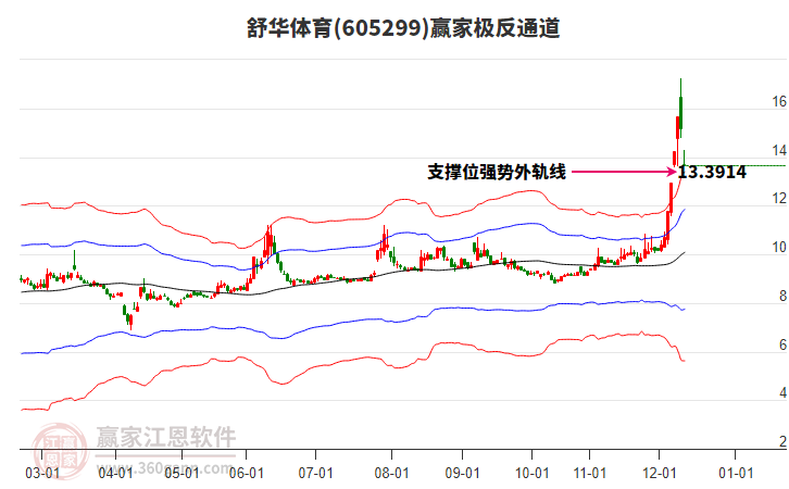 605299舒華體育贏家極反通道工具 605299舒華體育贏家極反通道工具