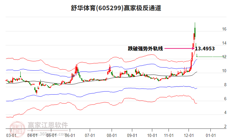 605299舒華體育贏家極反通道工具