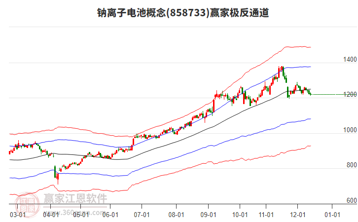 858733鈉離子電池贏家極反通道工具