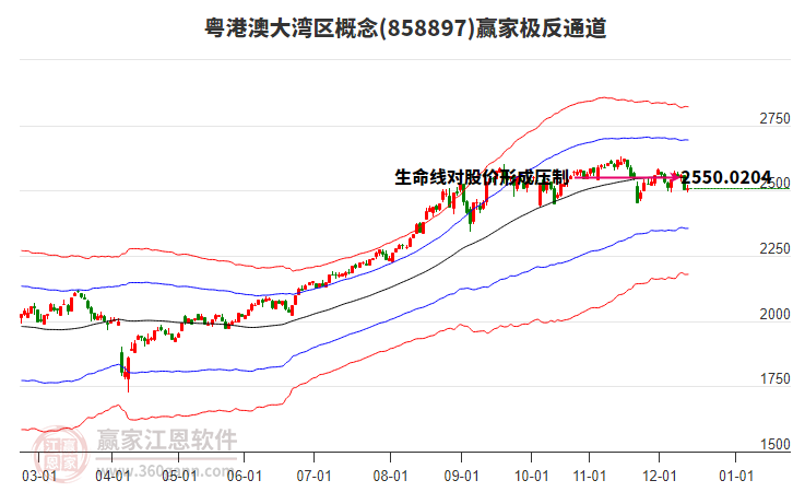 858897粵港澳大灣區(qū)贏家極反通道工具