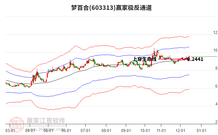 603313夢百合贏家極反通道工具