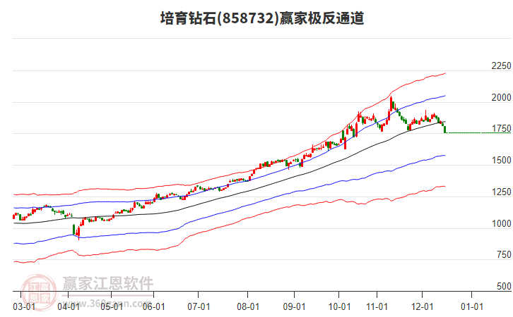 858732培育鉆石贏家極反通道工具