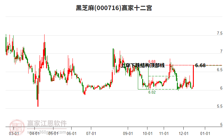 000716黑芝麻贏家十二宮工具