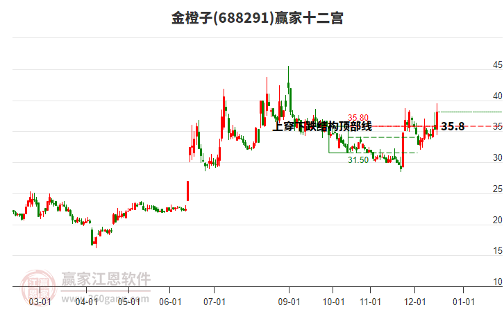 688291金橙子贏家十二宮工具