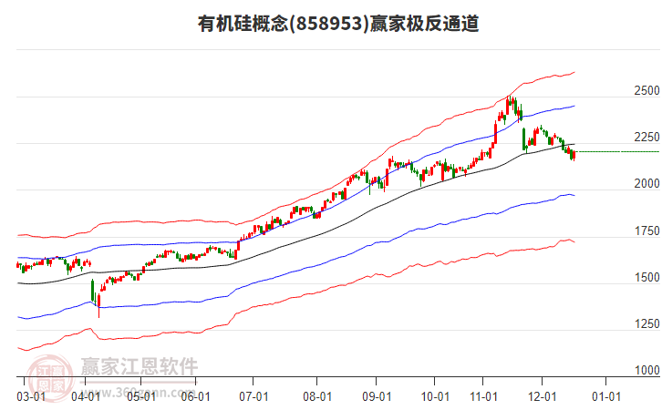 858953有机硅赢家极反通道工具