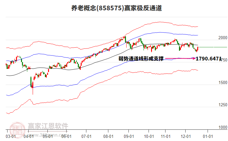 858575養(yǎng)老贏家極反通道工具