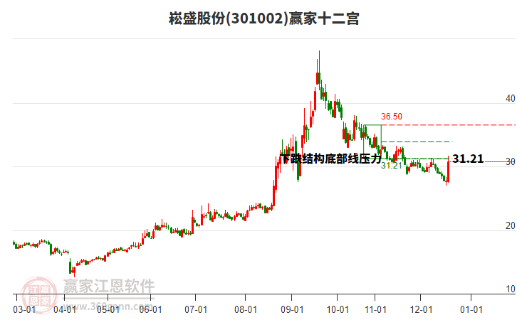 301002崧盛股份贏家十二宮工具