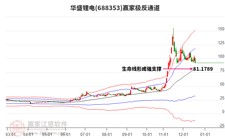 688353華盛鋰電贏家極反通道工具