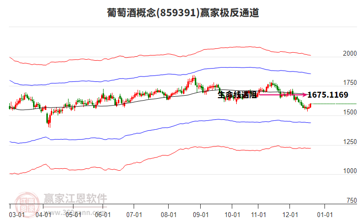 859391葡萄酒贏家極反通道工具