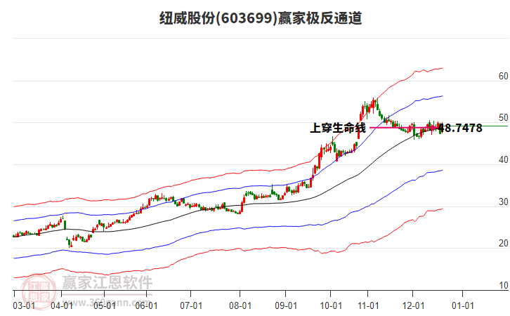 603699紐威股份贏家極反通道工具