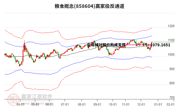 858604糧食贏家極反通道工具