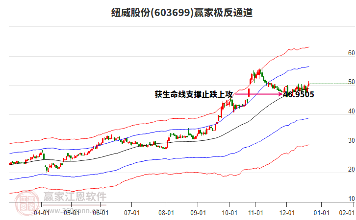 603699紐威股份贏家極反通道工具
