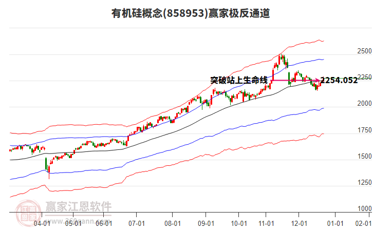 858953有機(jī)硅贏家極反通道工具