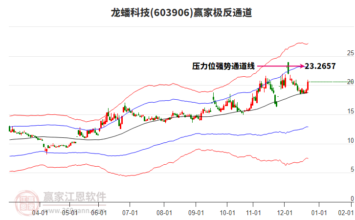 603906龍蟠科技贏家極反通道工具