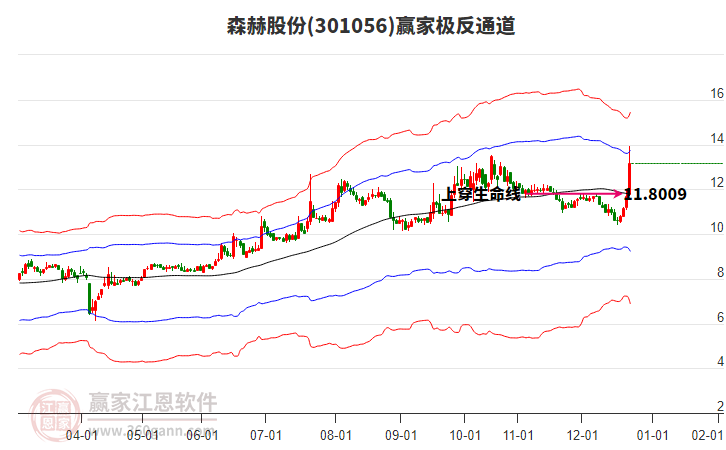 301056森赫股份贏家極反通道工具