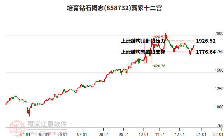 858732培育鉆石贏家十二宮工具