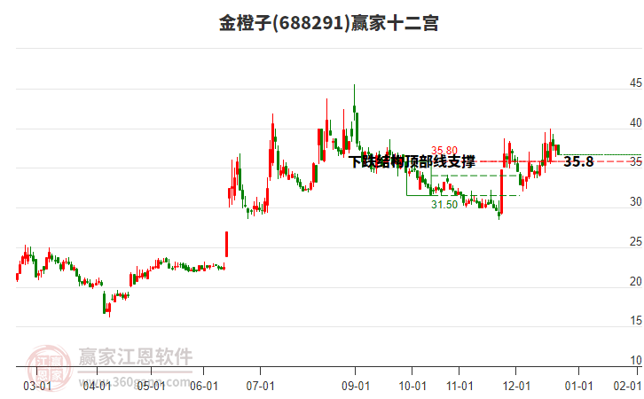 688291金橙子贏家十二宮工具