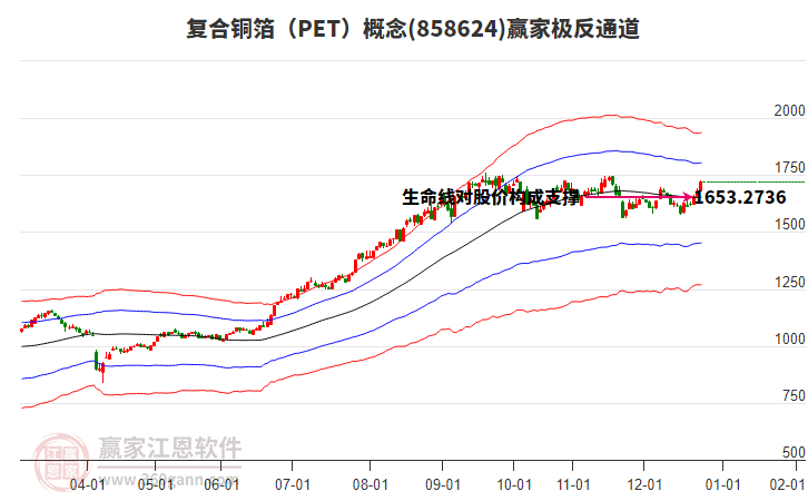 858624復(fù)合銅箔（PET）贏家極反通道工具