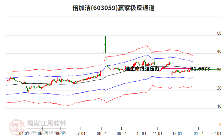 603059倍加潔贏家極反通道工具