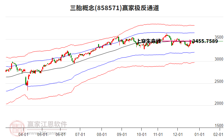 858571三胎贏家極反通道工具