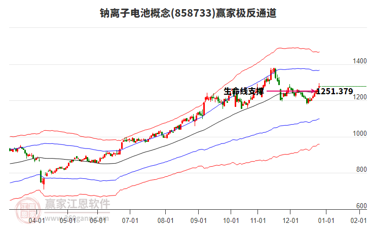858733鈉離子電池贏家極反通道工具