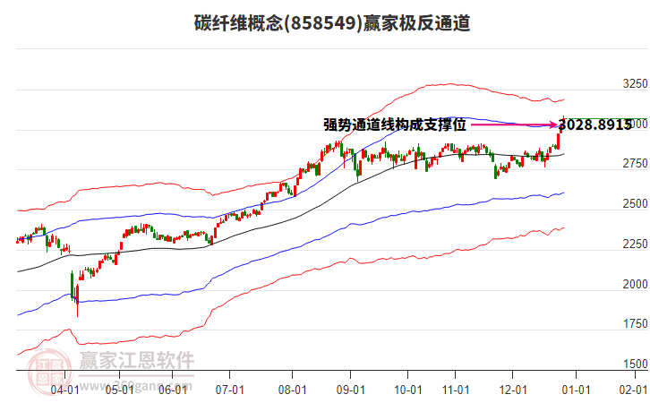 858549碳纖維贏家極反通道工具 858549碳纖維贏家極反通道工具