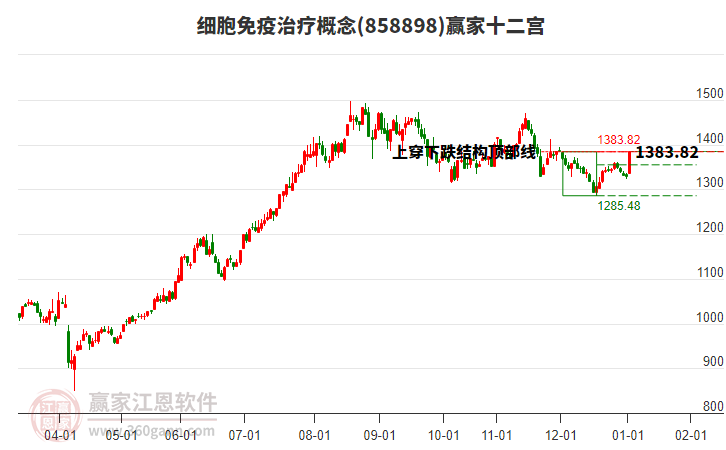 858898細(xì)胞免疫治療贏家十二宮工具