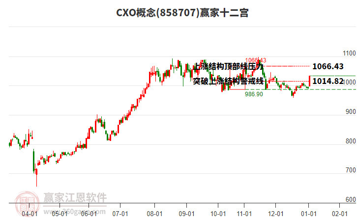 858707CXO贏家十二宮工具