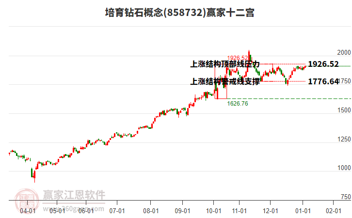858732培育鉆石贏家十二宮工具