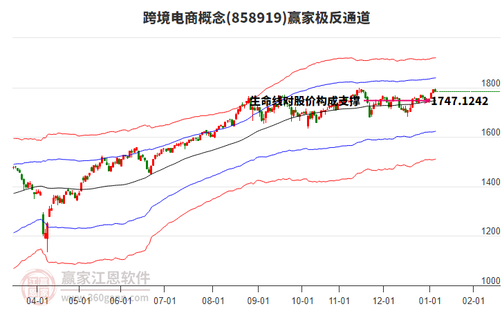 858919跨境電商贏家極反通道工具