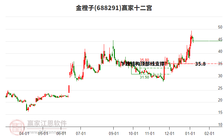 688291金橙子贏家十二宮工具