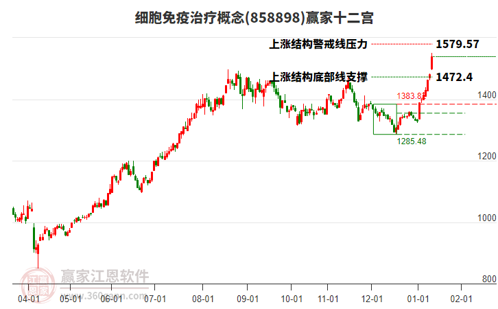 858898細(xì)胞免疫治療贏家十二宮工具