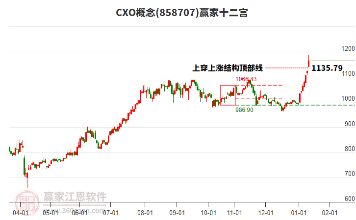 858707CXO贏家十二宮工具 858707CXO贏家十二宮工具