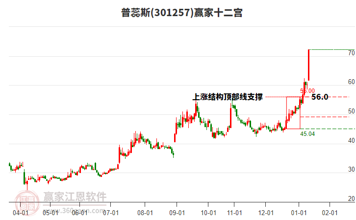 301257普蕊斯贏家十二宮工具