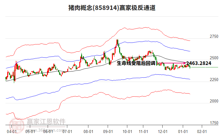 858914豬肉贏家極反通道工具