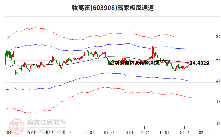 603908牧高笛贏家極反通道工具 603908牧高笛贏家極反通道工具