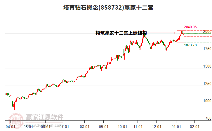 858732培育鉆石贏家十二宮工具