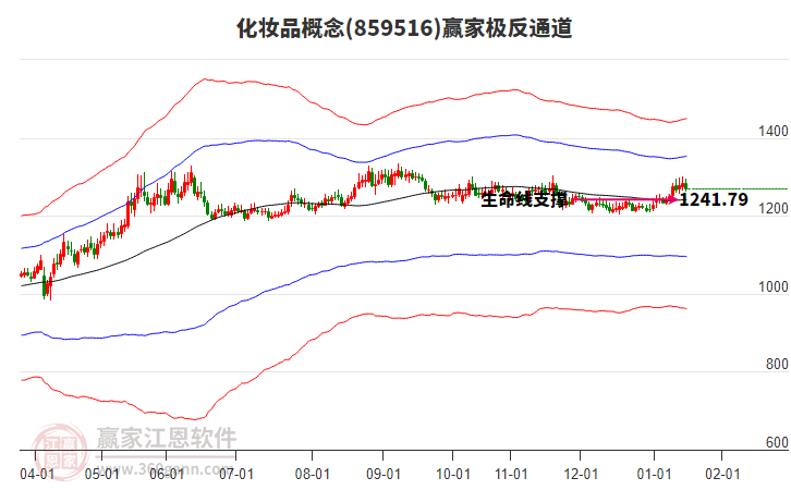 859516化妝品贏家極反通道工具