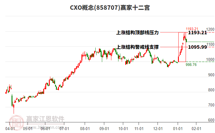 858707CXO贏家十二宮工具 858707CXO贏家十二宮工具